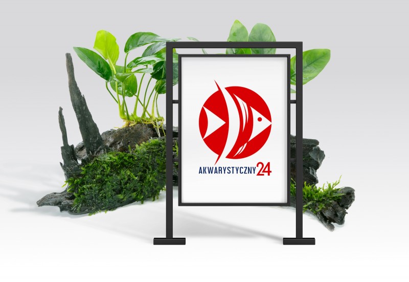 Logo sklepu Akwarystyczny24 - wizualizacja