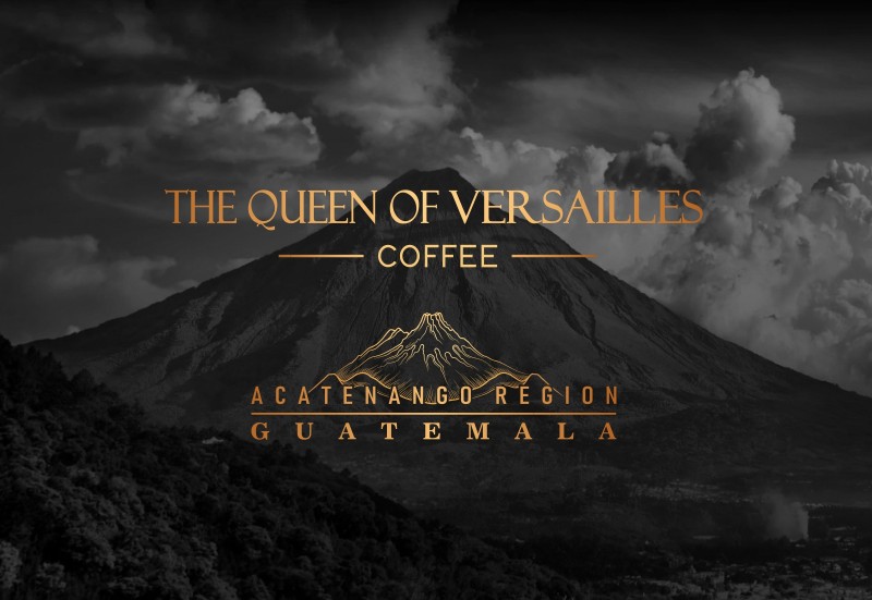 Design Acatenango Volcano - qvcoffee.com