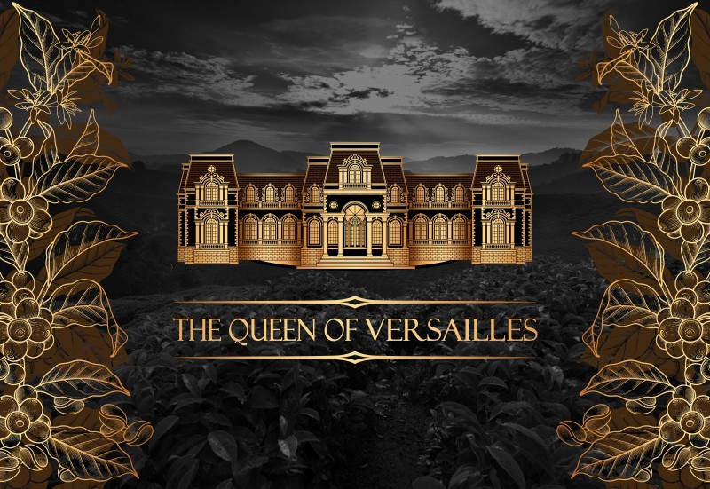Design Palace Queen Of Versailles - qvcoffee.com